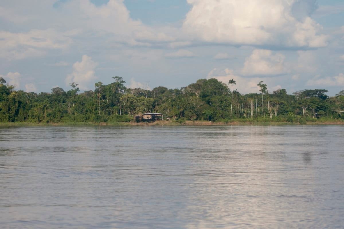Women in Putumayo turn to fish farming and away from the coca industry